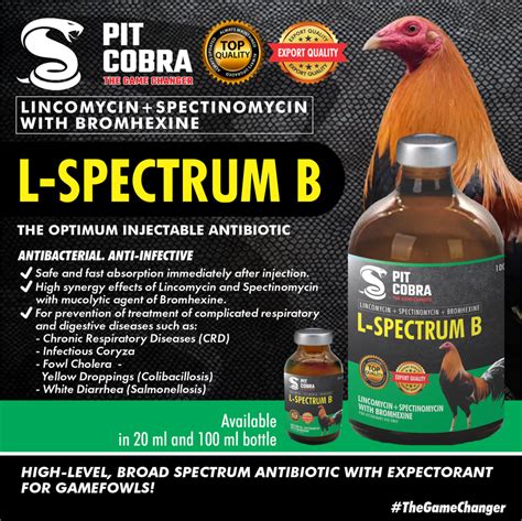 PIT COBRA Gamefowl and Racing Pigeon CoBraders!.